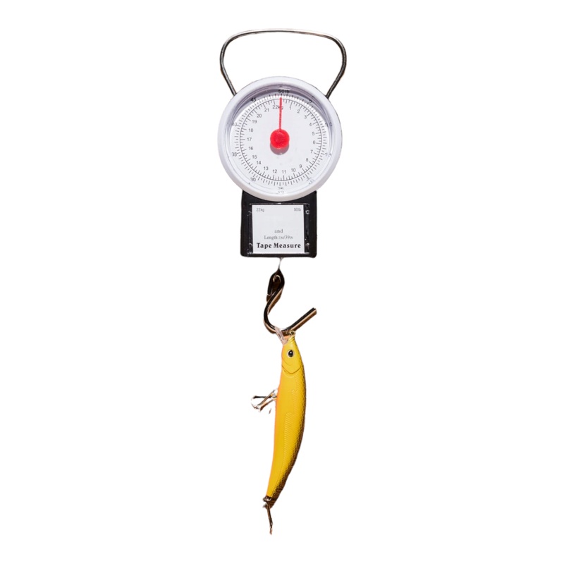 Hanging Scale 100kg Pl8/16