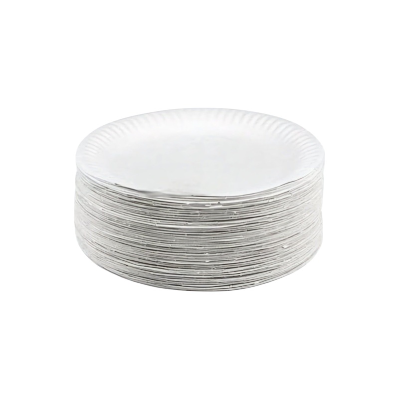 Disposable Paper Plates 230mm White 100pack