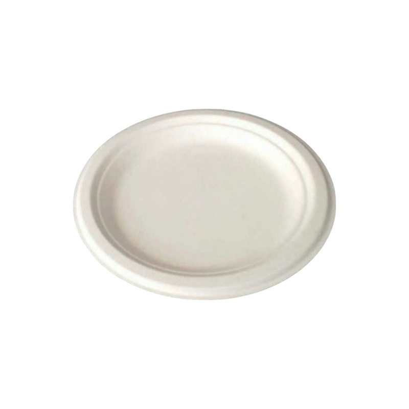 Biodegradable Round Plate 10inch Takeaway Disposable Sugar Cane