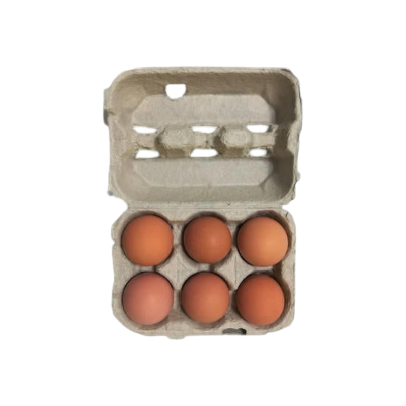 Egg Packaging Trays 1-Doz-2×6 Division – Pack of 160 Trays