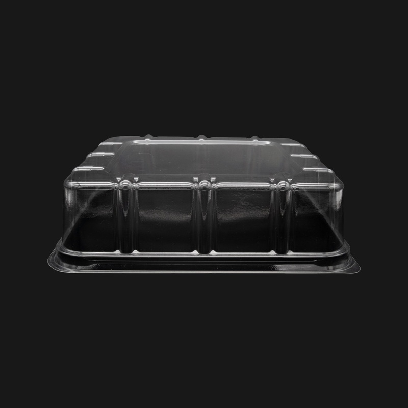 ZIbo Thermo Cake Dome L599 Fit Foam Base  K79D Fomo34