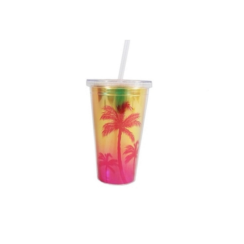 Acrylic Smoothie Tumbler with Straw 450ml Double Wall 23017