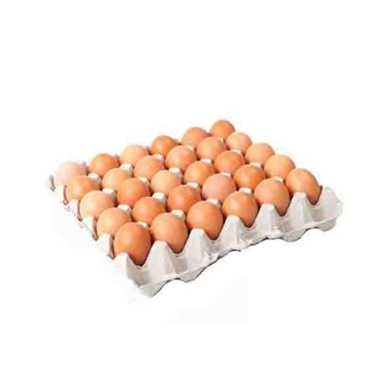 Egg Packaging Trays 2-1/2 Dozen-30 Division – Pack of 150 Trays