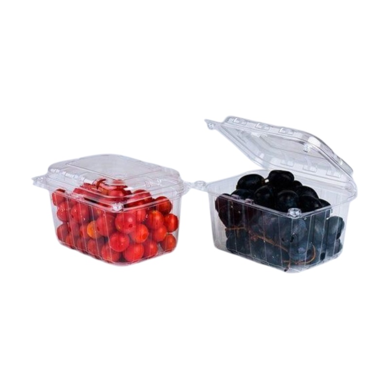 Zibo Fruit Salad Punnet Clamshell Medium CS78/46 – T175/T282
