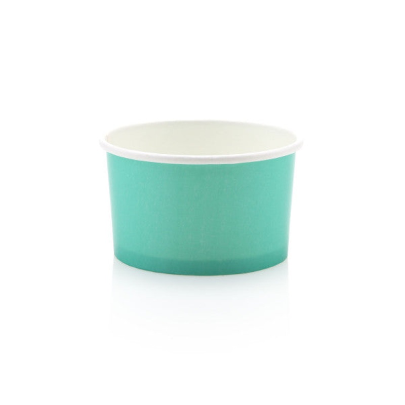 Ice Cream Paper Cups 150ml Pastel Mint Vintage Tubs 10pack