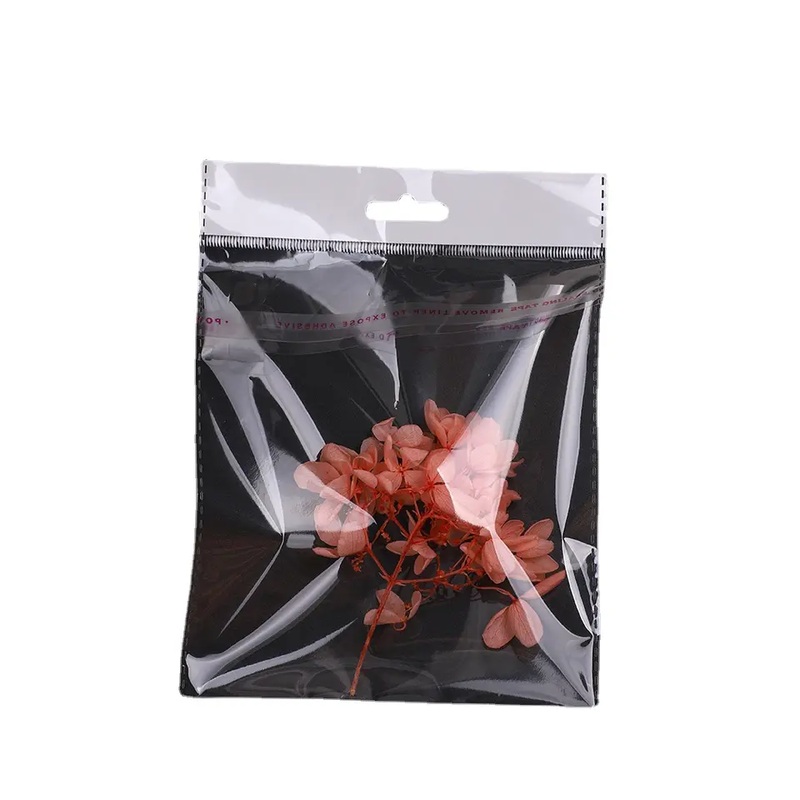 Polyprop Cellophane Selfseal Bags 7.5x13cm Euro Slot Hanging 100pack