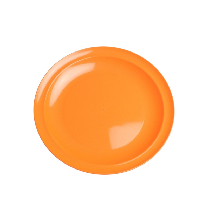 Reusbale Plastic Plate Shatterproof Set 6 piece