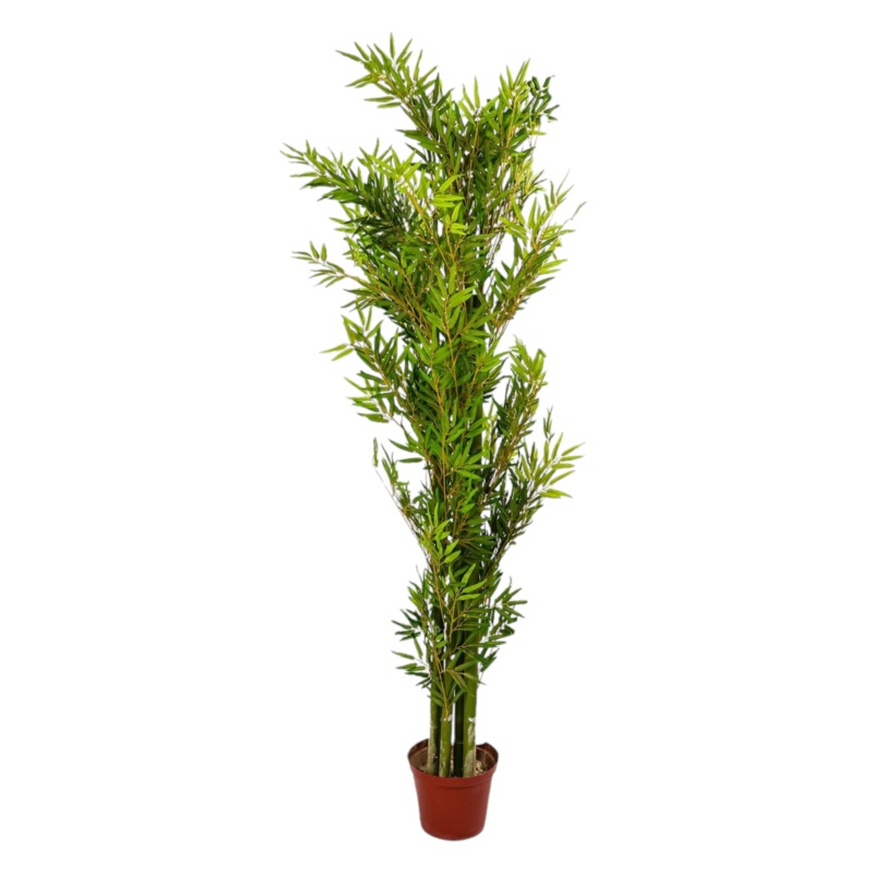 Artificial Bamboo Reed Tree 200cm Plant 295
