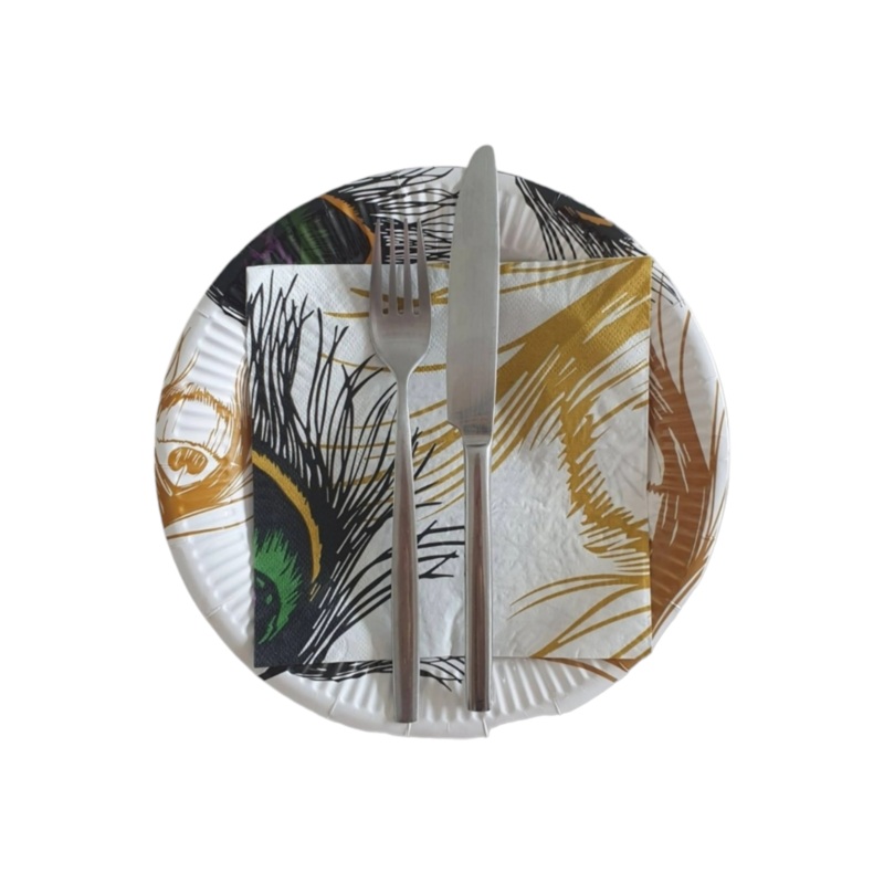 Time Savers Disposable Picnic Plates & Serviettes 6pack Patterned