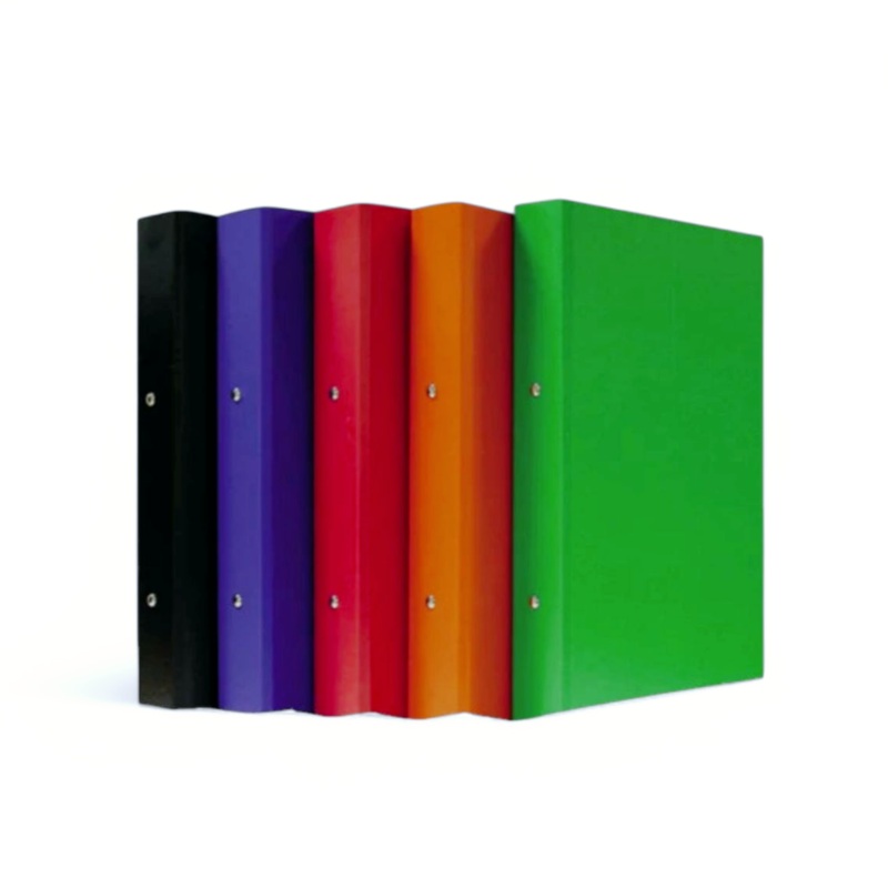 Marlin A4 PVC Colour Ringbinder File 1pc