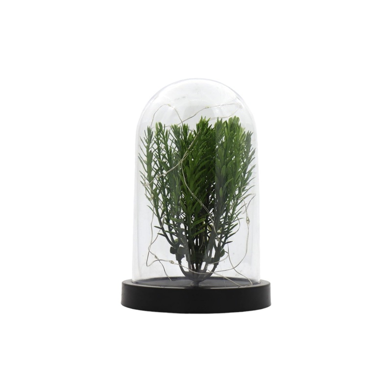 Nu Ware Plastic Flower Pot Dome with Light