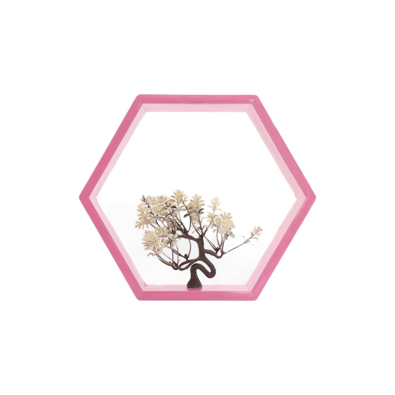 Nu Ware Plastic Flower Pot Haxagon Wall Mount