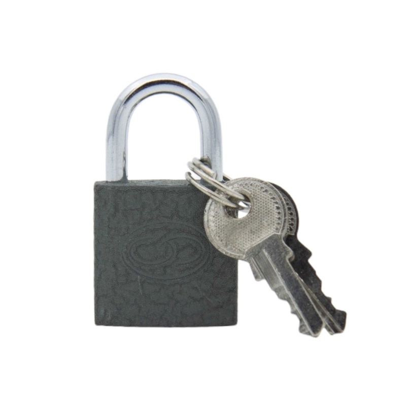Pad Lock Iron Grey 25mm 3524-25