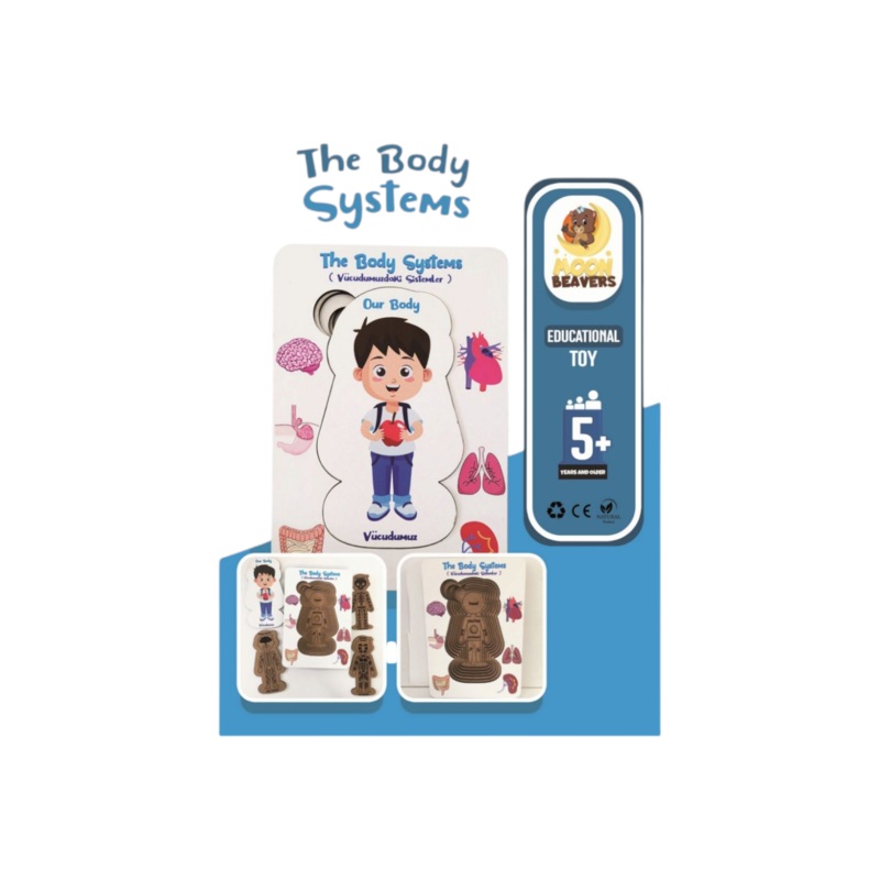 Educational Toy The Body System Puzzle Boy 13x18cm MB34