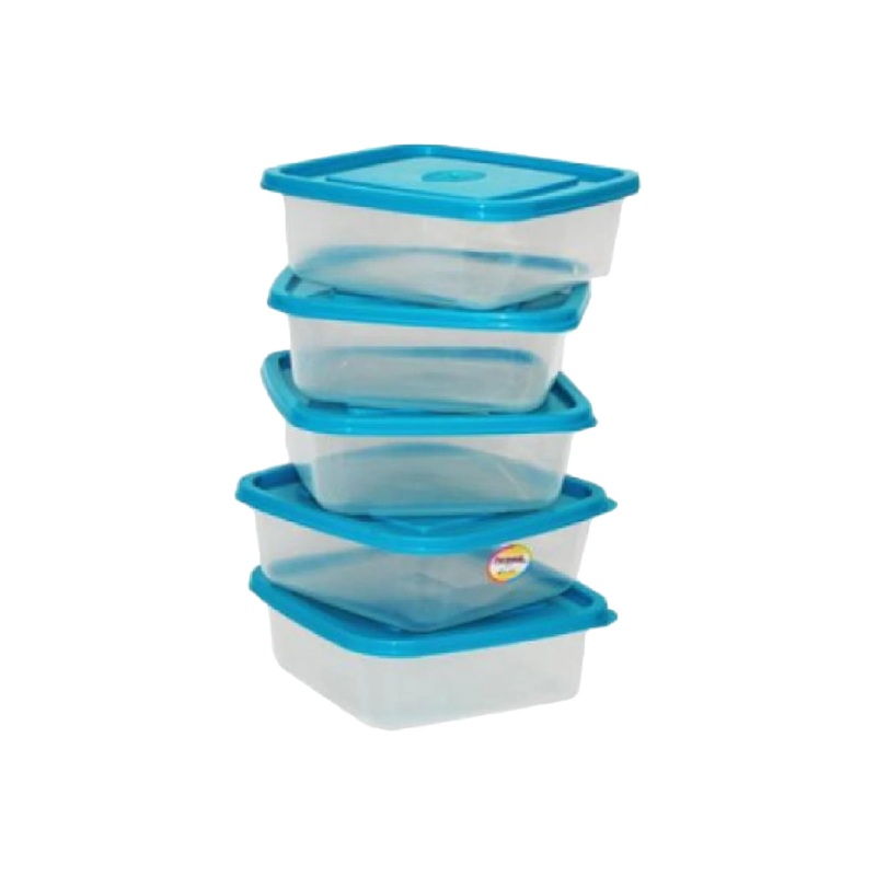 Mini Plastic Storage Container Square 125cc 5pack 6102