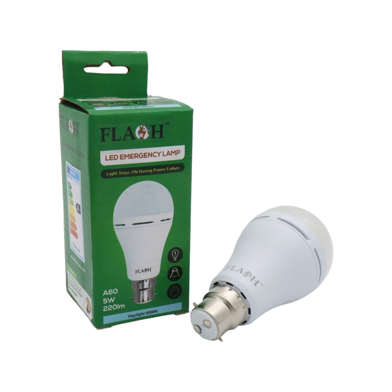 LED Emergency lamp 5W Daylight