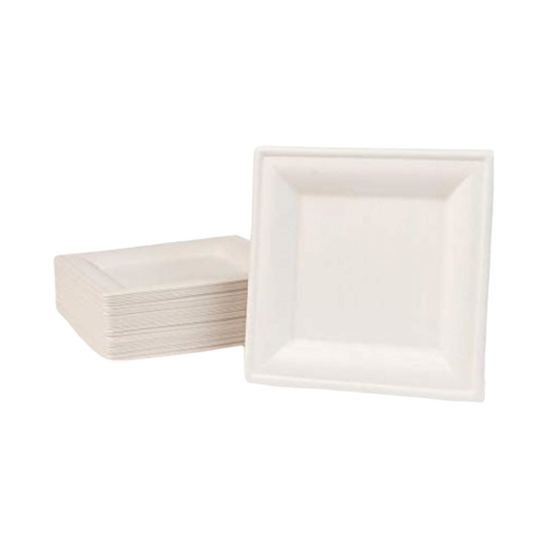 Biodegradable Takeaway Plate 10inch Square White Sugar Cane 5pack