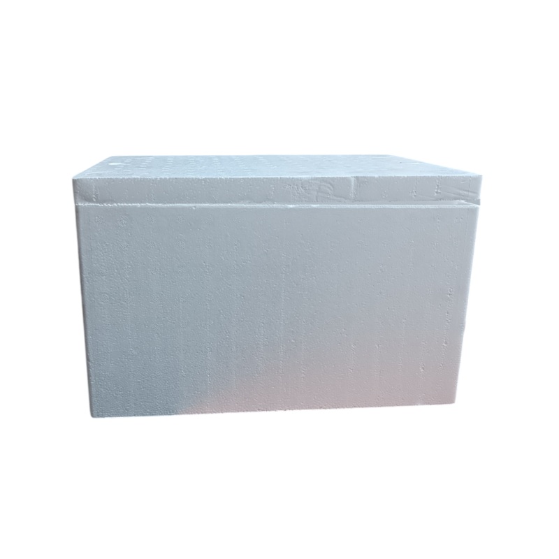 Polystyrene 6L Cooler Box Shallow  Thermal Storage Box with Lid- Fits 6pack