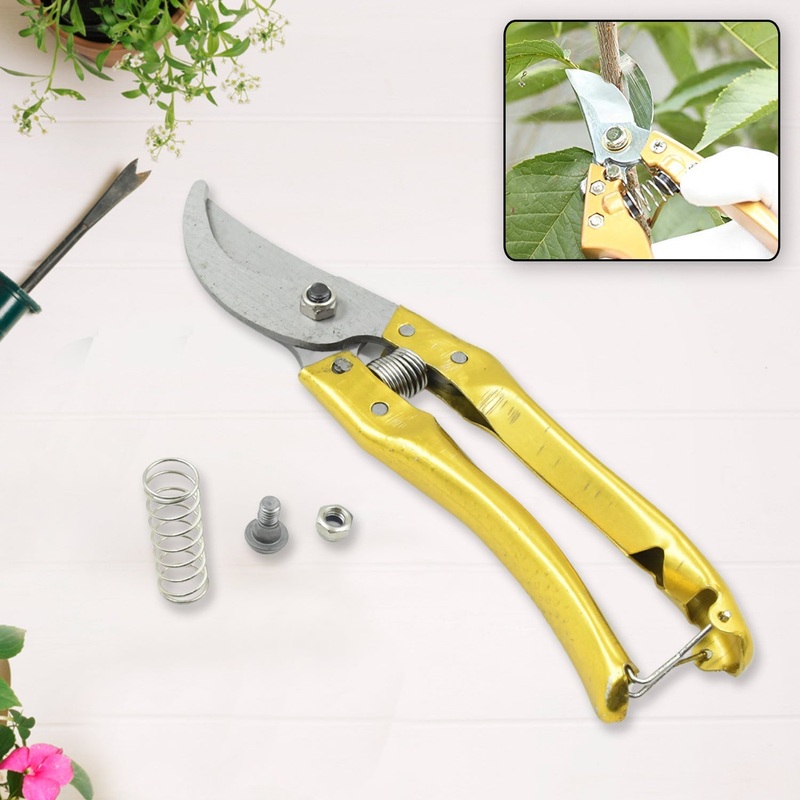 Gardening Tools – Garden Shears Pruners Scissor (1 Pc)