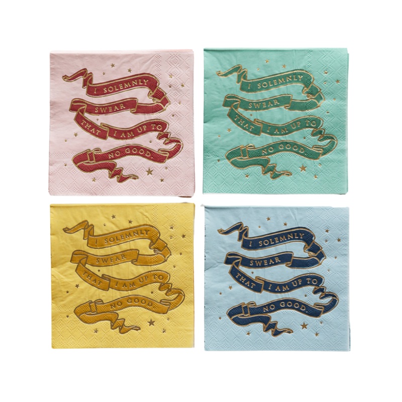 HARRY POTTER X BONJOUR FTE HOUSE PRIDE SMALL PARTY NAPKINS