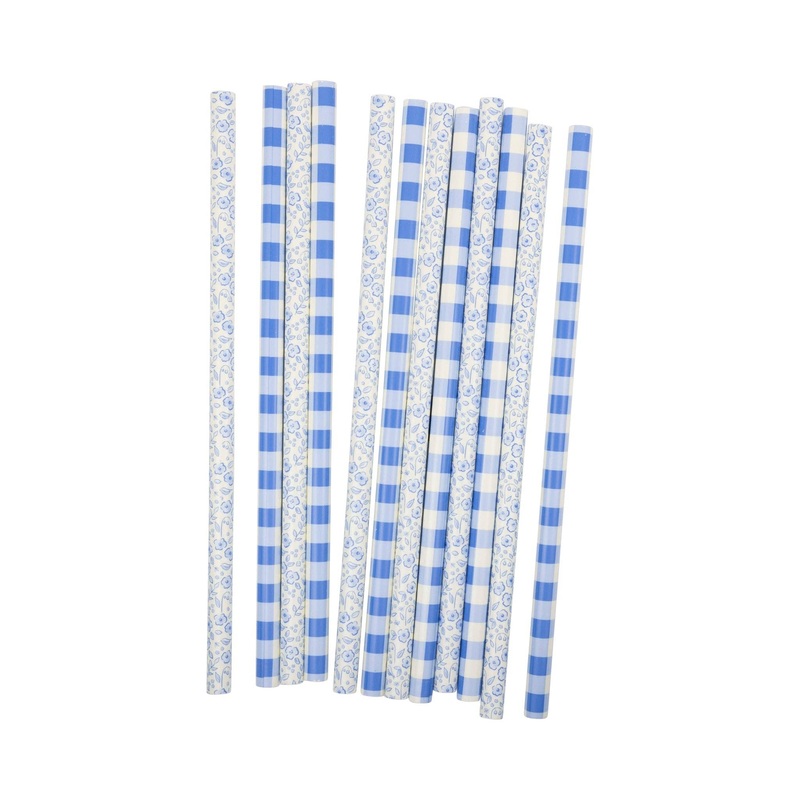 BLUE GINGHAM FLORAL REUSABLE STRAWS