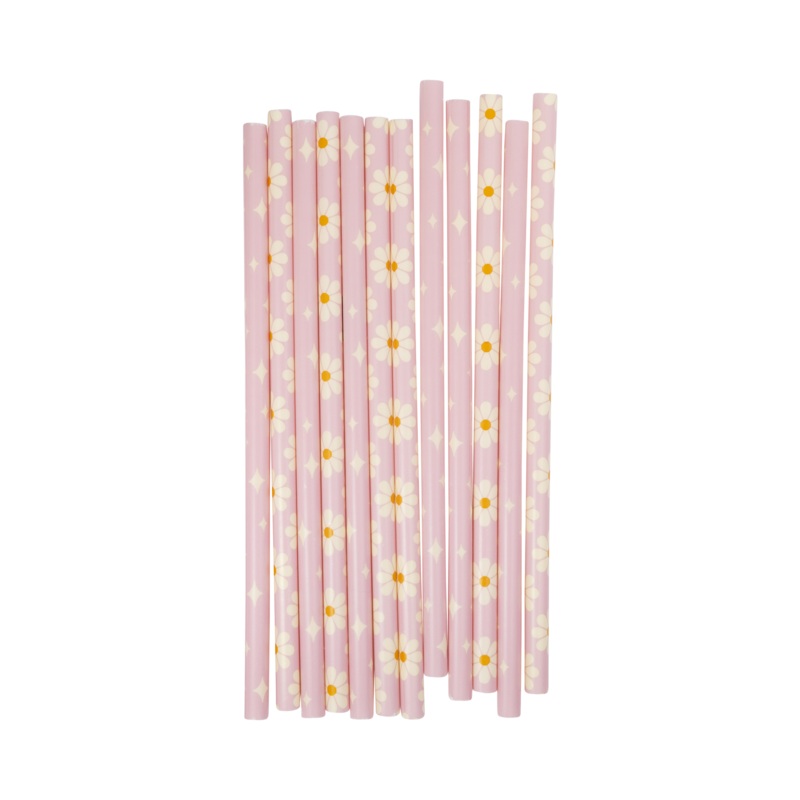 DISCO DAISY REUSABLE STRAWS
