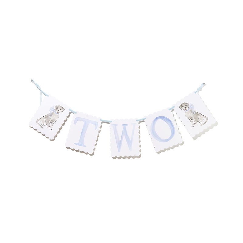 BLUE TWO BIRTHDAY BANNER