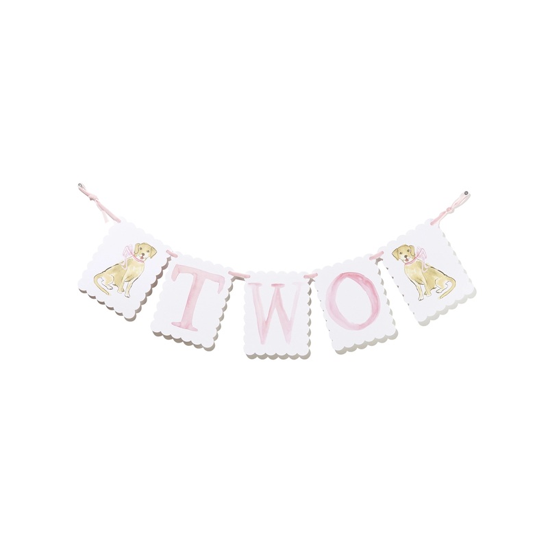 PINK TWO BIRTHDAY BANNER