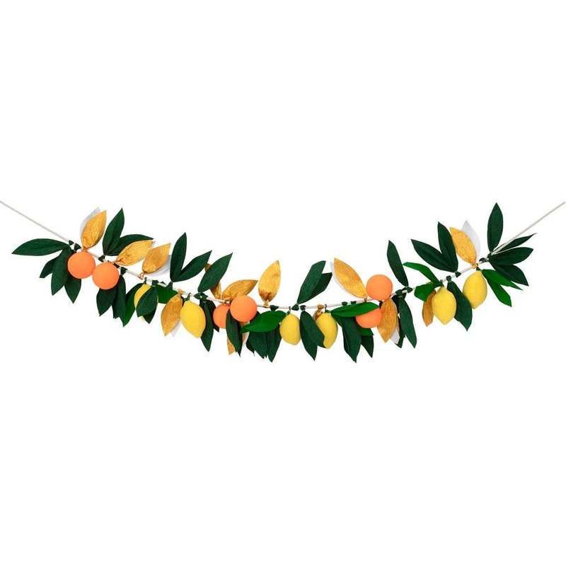 CITRUS FRUIT GARLAND