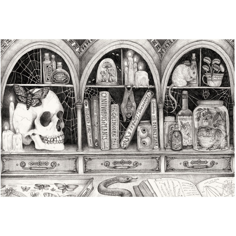 CABINET OF CURIOSITIES PLACEMATS