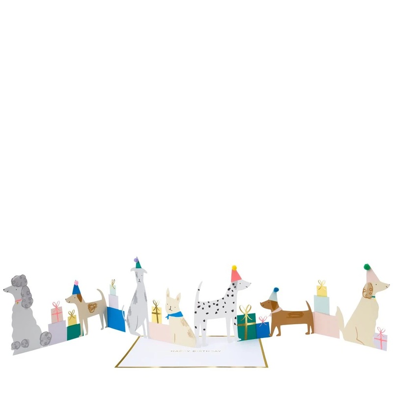DOG PARTY CONCERTINA BIRTHDAY CARD