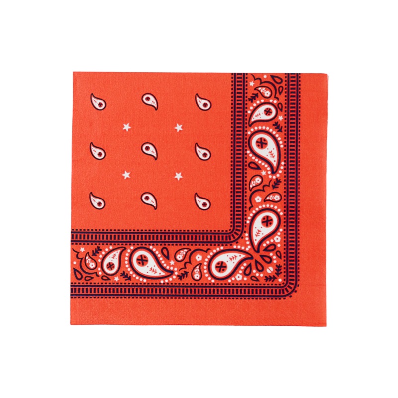 THOMAS & FRIENDS LARGE RED BANDANA NAPKINS
