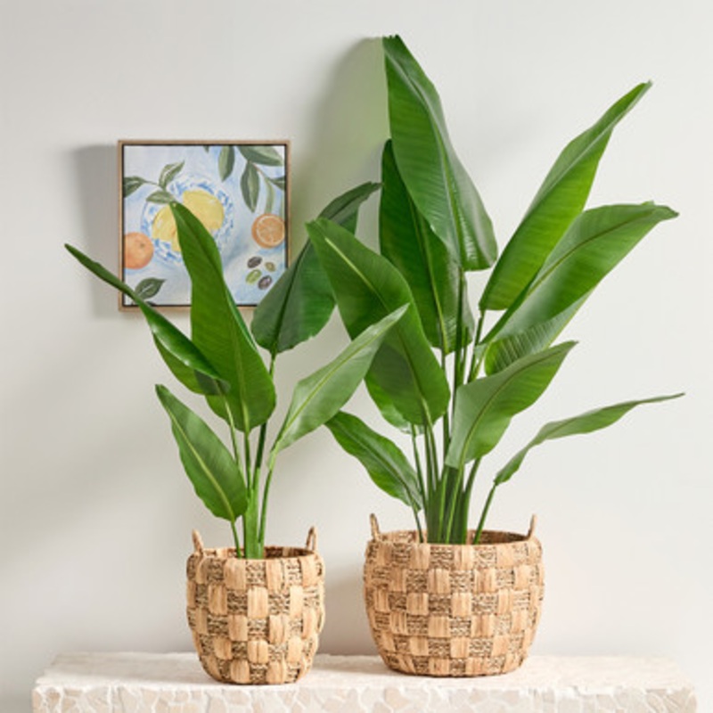 Artificial Heliconia Plant [MUSHHELPS24]