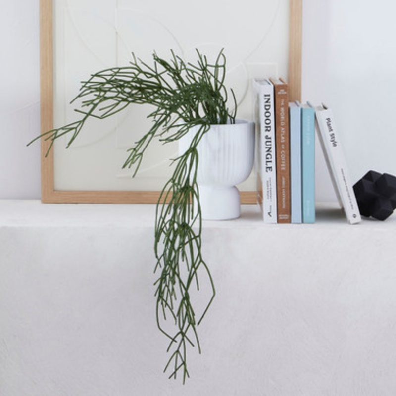 Artificial Mistletoe Cactus Garland [MUSMISGS23]