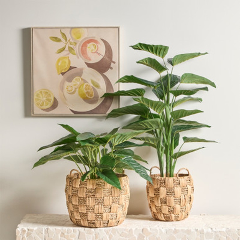 Artificial Philodendron Plant [MUSHPHIPS24]