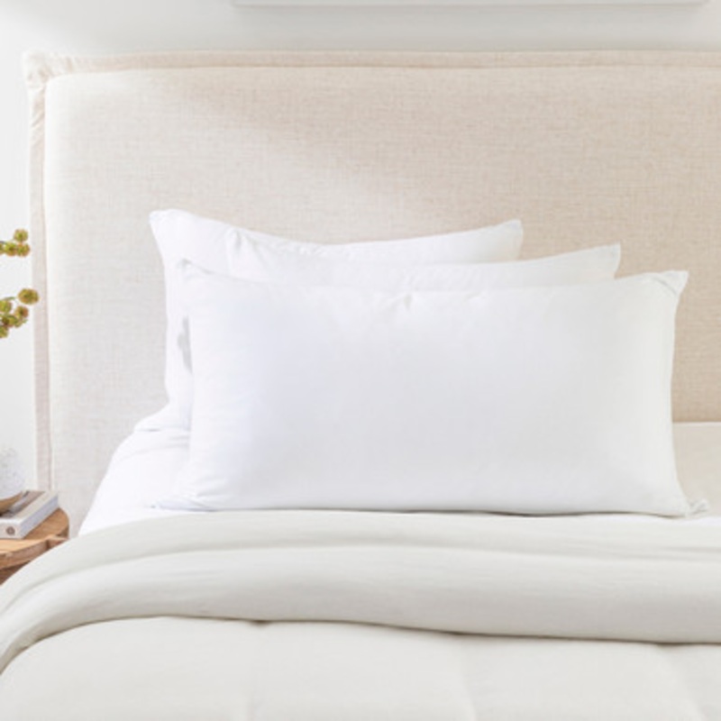 Cotton Jersey Queen Pillow Protector [TWOBUSHAP12C]