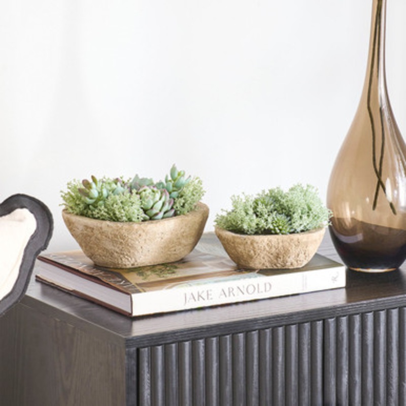 Greyson Potted Artificial Succulent [MUSHGRPSW25]