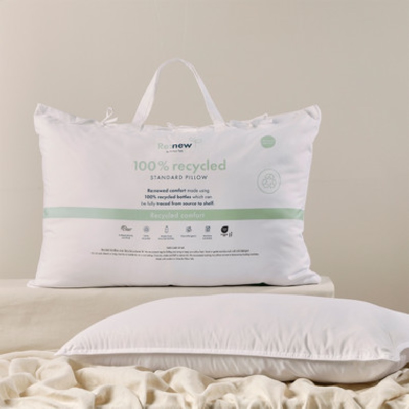 Recycled Pillow [RNWBRECYC24]