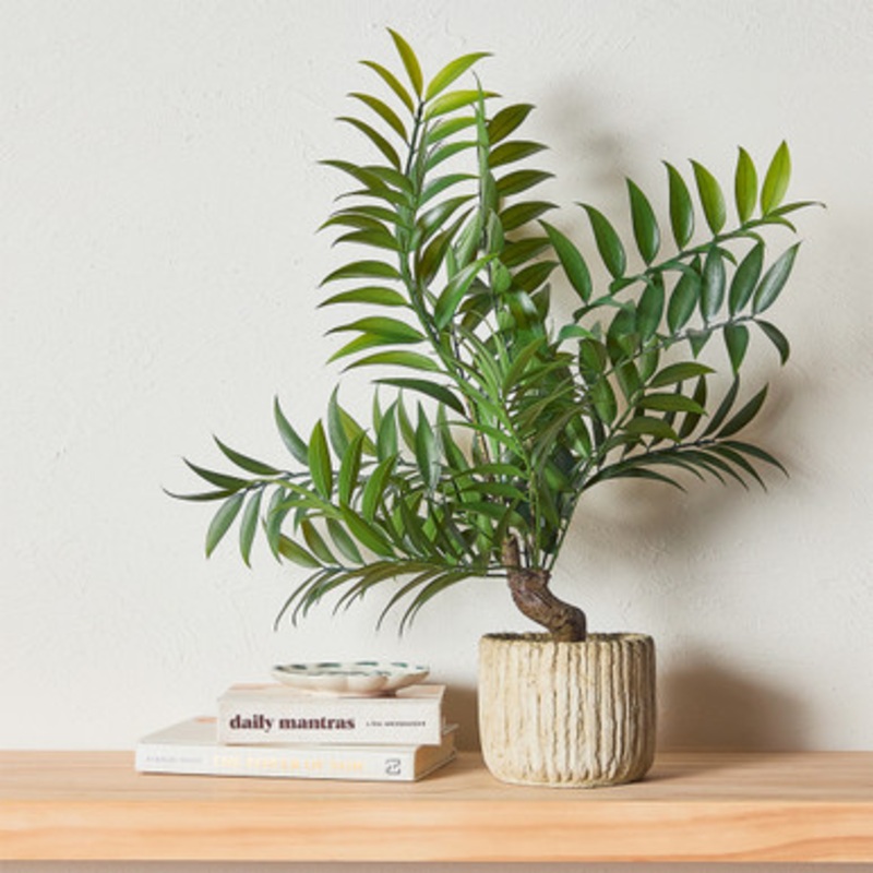 Bespoke Potted Plant [MUSHBESPW25]