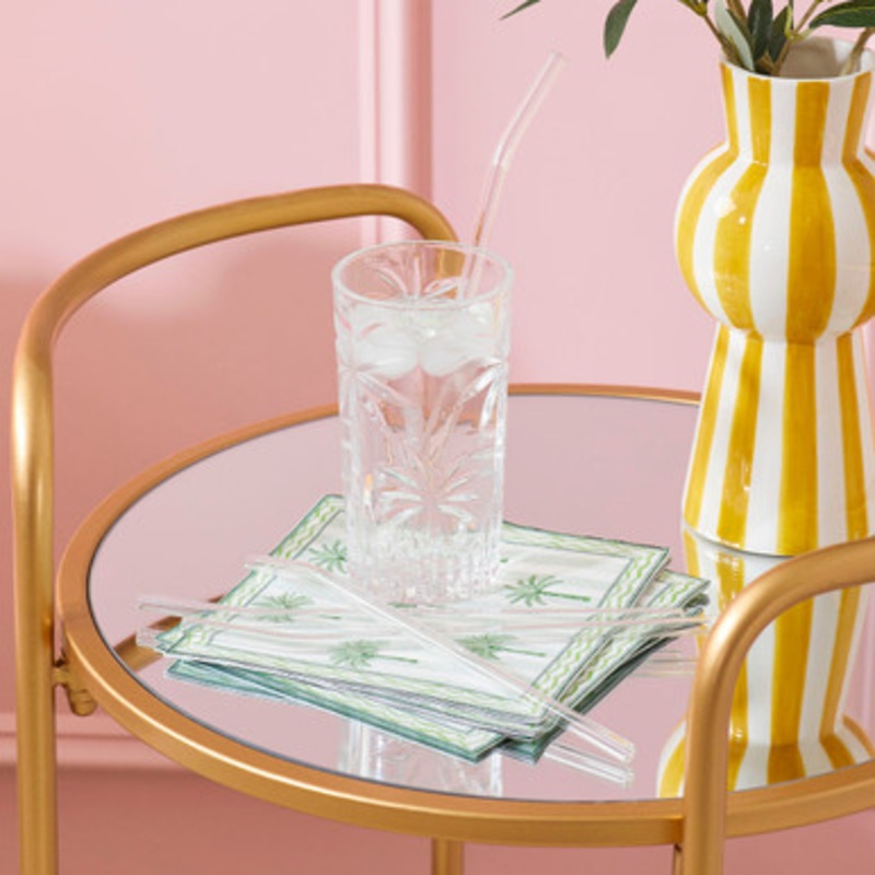 Emmy Clear Glass Straw 4 Pack [HABLEMMGS23]