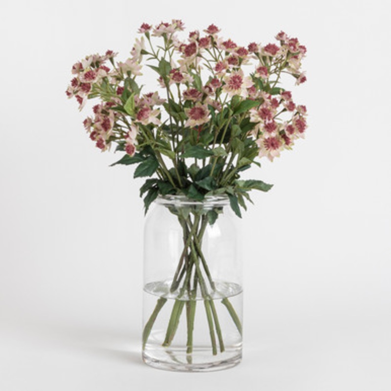 Artificial Astrantia Stem [MUSLASTRSS22]