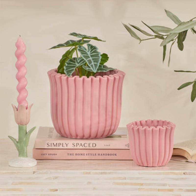 Tula Frill Planter [MUSHTULPW25]