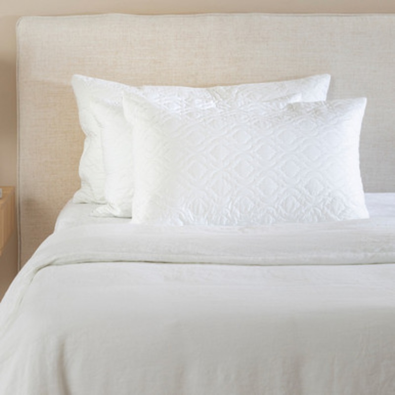 Waterproof Queen Pillow Protector [SAFBASUED08_PILA]