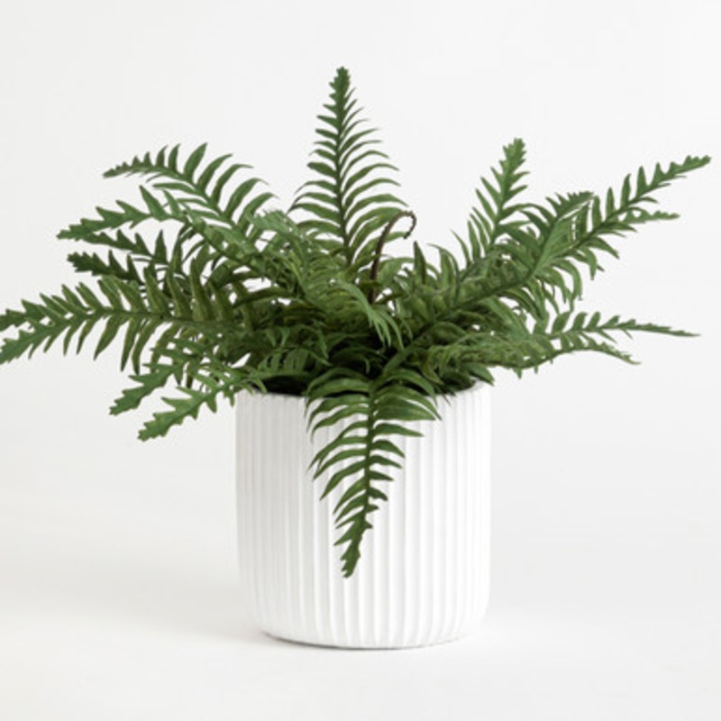 Artificial Elly Potted Fern Plant [MUSLELLPSS22B]