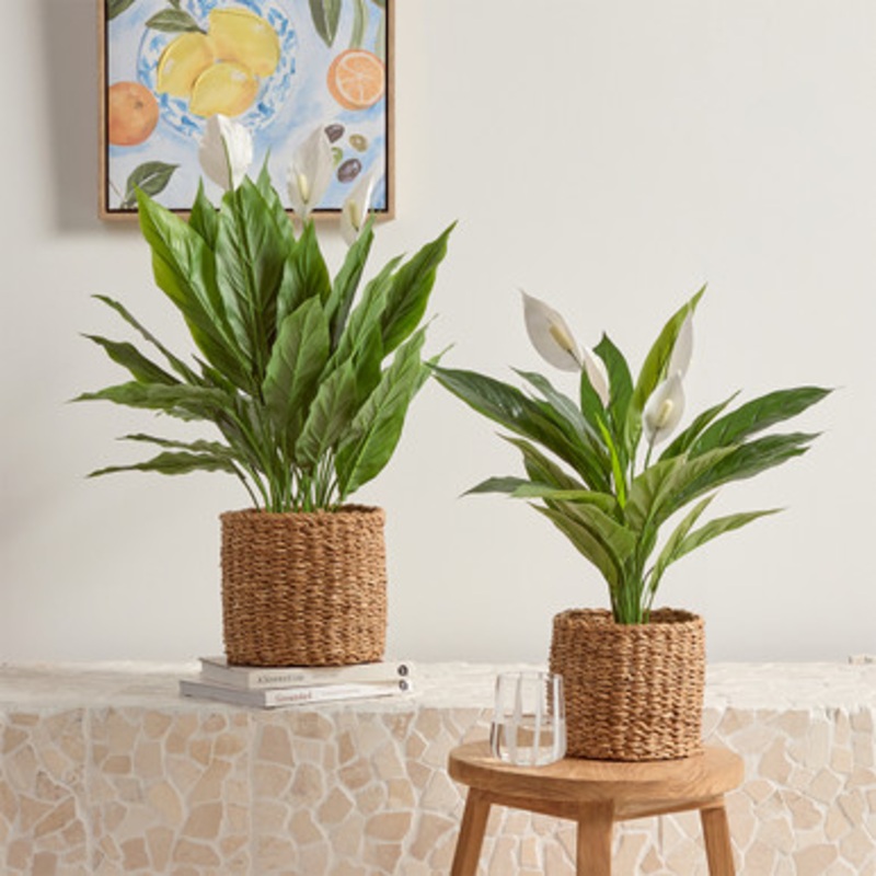 Artificial Mini Peace Lily Plant [MUSHMINPS24]