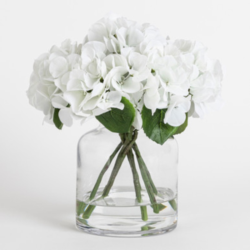 Hydrangea White Pick [MUSLHYDRPS22_DIS]
