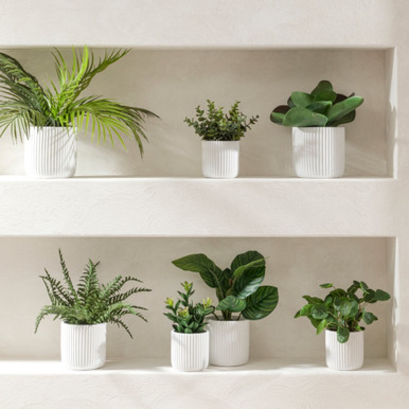 Artificial Elly Potted Succulent [MUSLELLPSS22]